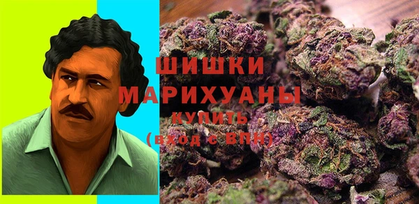 метадон Алексин