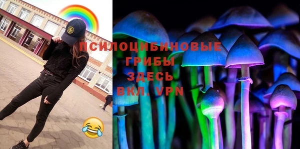 хмурый Снежинск