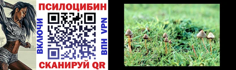 Галлюциногенные грибы Cubensis  наркошоп  MEGA ТОР  Алупка 